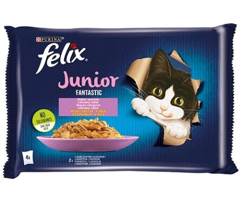 Felix Fantastic Junior W Galaretce Z Kurczakiem I Łososiem 4x85g