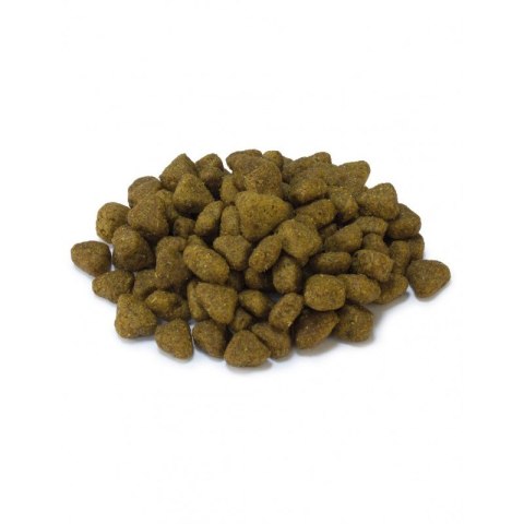 ARQUIVET CAT Sucha karma dla kotów sterylizowanych z białą rybą i tuńczykiem 1,5 kg