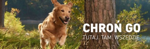 FRONTLINE Tri-Act Dla Psów 3x6ml