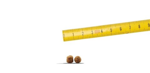 Josera Family Plus 15kg