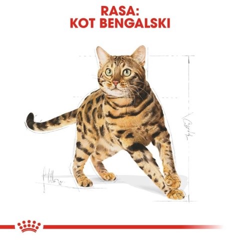 ROYAL CANIN Bengal Adult 400g