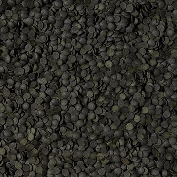 Tropical Super Spirulina Forte Chips 5l