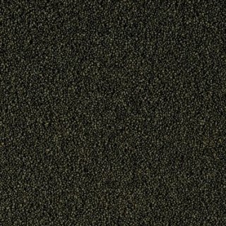 Tropical Super Spirulina Forte Mini Granulat 250ml