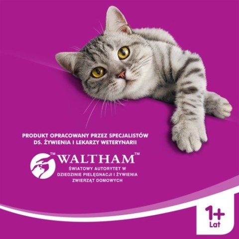 WHISKAS Karma Sucha Dla Kota Po Sterylizacji 1+ Sterile Z Kurczakiem 14kg