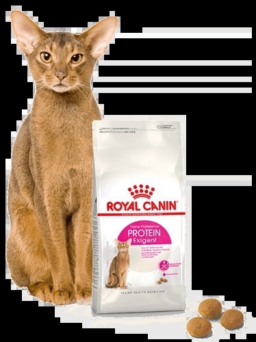 ROYAL CANIN Exigent Protein Preference 42 10kg