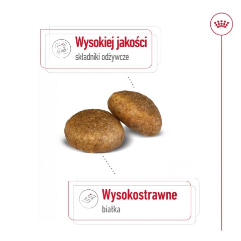 ROYAL CANIN Maxi Adult 4kg