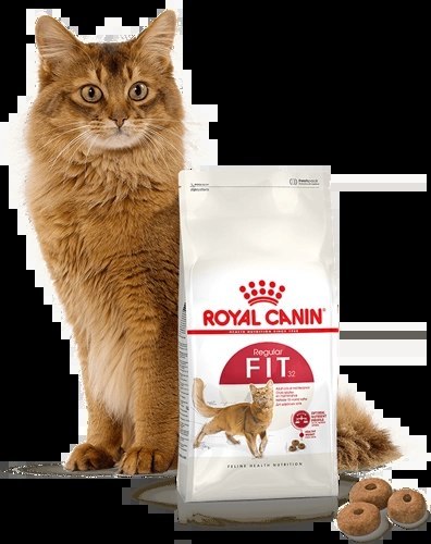 Royal Canin Fit 32 400g