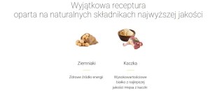 Josera Lachs & Kartoffel - Grain Free 15kg