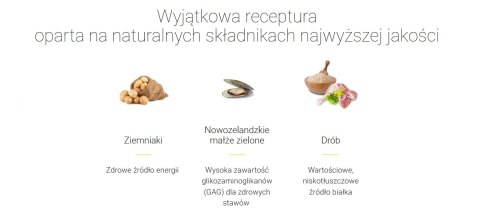 Josera YoungStar - Grain Free 15kg