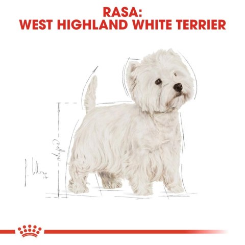 ROYAL CANIN West Highland White Terrier Adult 500g
