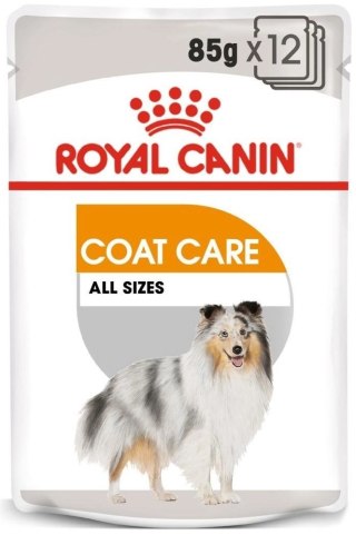 ROYAL CANIN CCN Coat Care Pasztet 12x85g
