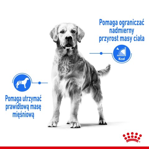 ROYAL CANIN CCN Medium Light Weight Care 3kg