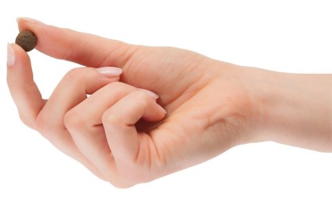 Entomojo Sas Tomojo Karma Z Owadami Dla Psa 2kg