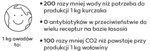 Entomojo Sas Tomojo Karma Z Owadami Dla Psa 2kg