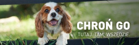 FRONTLINE Spot On Dla Psa 3x0,67ml