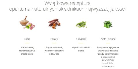 Josera Daily Cat 10kg