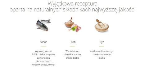 Josera Minette Kitten 400g