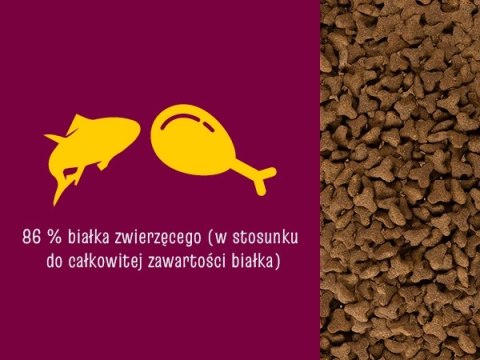 JosiCat Josera Classic Sterilised 650g