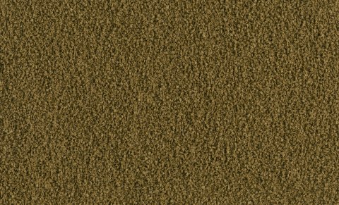 Tetra Phyll Granules 250ml