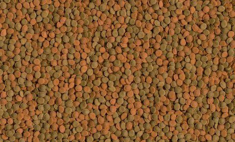 Tetra Wafer Mix 1000ml