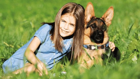 Frexin Obroża Insektobójcza Dla Psa 65cm