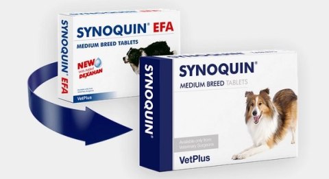 VetPlus Synoquin Efa Medium Breed 30tab