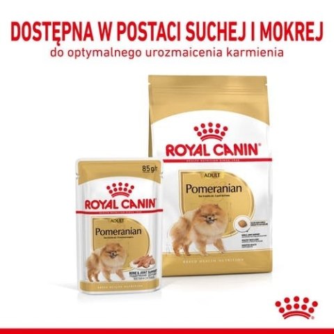 ROYAL CANIN Pomeranian Adult 500g
