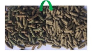 Versele-Laga Country's Best Cuni Fit Plus 20kg