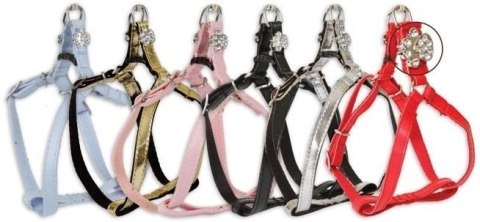 Dingo New York Szelki Step-In Dla Yorka I Małego Psa Niebieskie