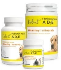 Dolfos Dolvit Fosforan Wapnia ADзE Proszek 1kg