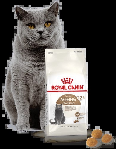 ROYAL CANIN Ageing Sterilised +12 400g