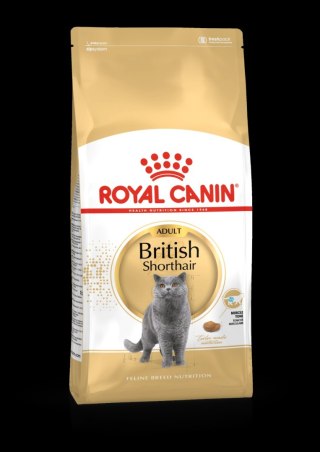 ROYAL CANIN British Shorthair Kitten 400g