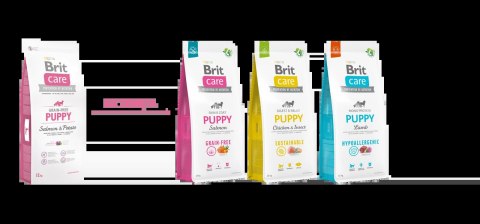 Brit Care Grain Free Puppy Łosoś Z Ziemniakami 3kg