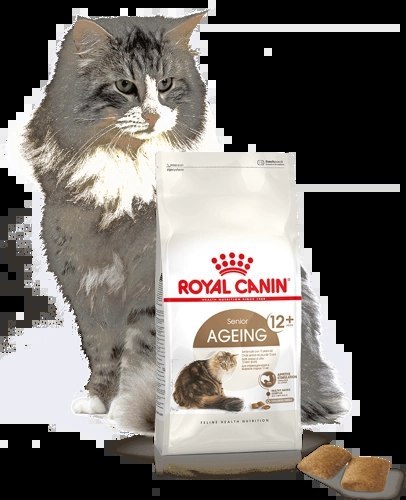 ROYAL CANIN Ageing +12 4kg