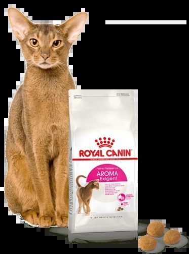 ROYAL CANIN Aroma Exigent 2kg