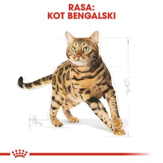 ROYAL CANIN Bengal Adult 10kg