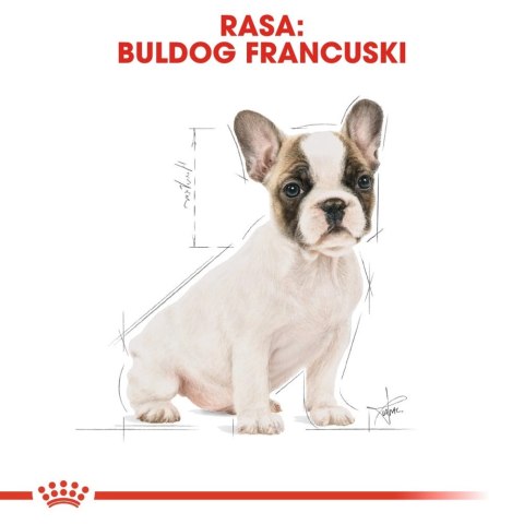 ROYAL CANIN French Bulldog Puppy 3kg