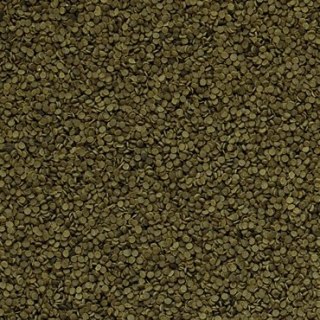 Tropical Spirulina Granulat 100ml