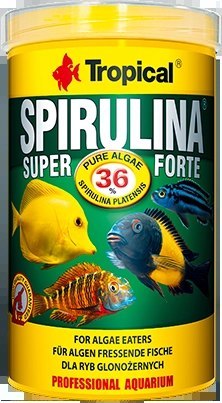 Tropical Super Spirulina Forte 1000ml