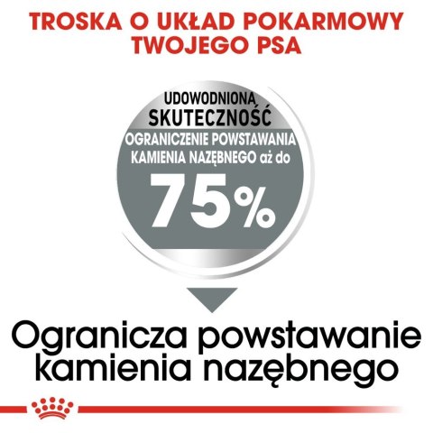 ROYAL CANIN CCN Maxi Dental Care 3kg