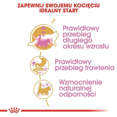 ROYAL CANIN Maine Coon Kitten 10kg