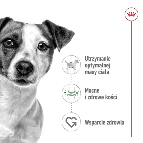ROYAL CANIN Mini Adult 4kg