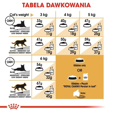 ROYAL CANIN Persian Adult 4kg