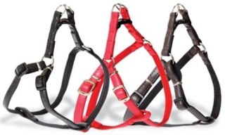 Dingo Szelki Basic Typu Step-In Z Taśmy Dla Psa Czerwone Rozmiar 50