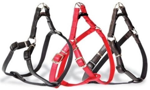 Dingo Szelki Typu Step-In Z Taśmy Dla Psa Czarne Rozmiar 60