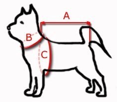 KERBL Pas Bezpieczeństwa S Dla Psa 30-60cm
