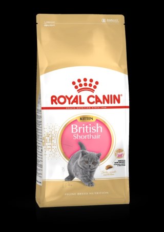 ROYAL CANIN British Shorthair Kitten 10kg