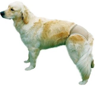 Trixie Majtki Ochronne Dla Suczki Rozmiar S-M