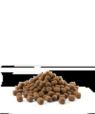 Versele-Laga Opti Life Adult Mini Z Kurczakiem I Ryżem 2,5kg