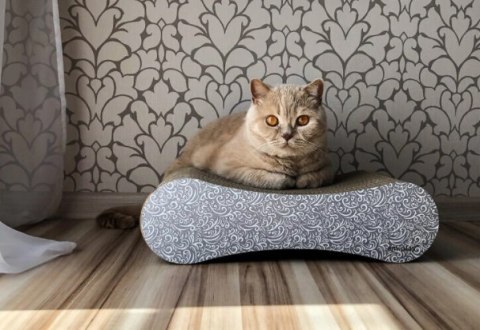 AMIPLAY Drapak Dla Kota Idea Cairo Czarny